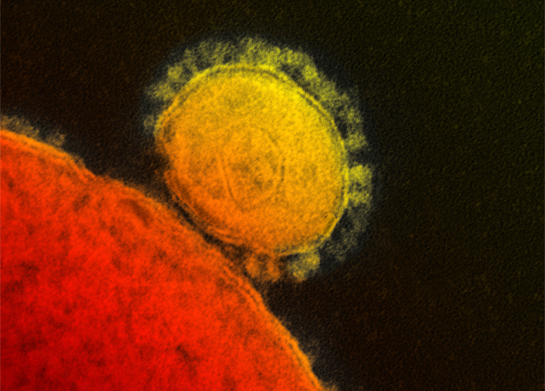 /img/2020/coronavirus.jpg /img/2020/coronavirus.jpg