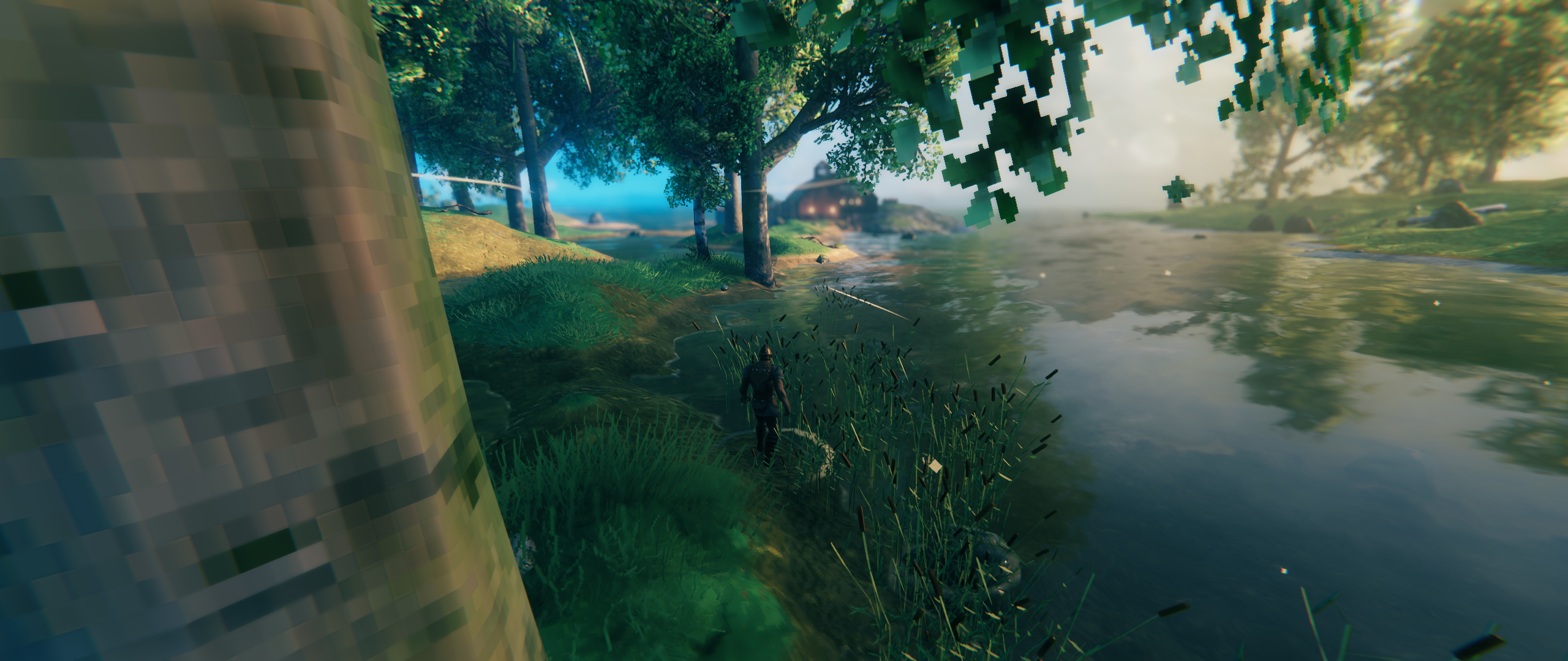 /img/2022/valheim.png