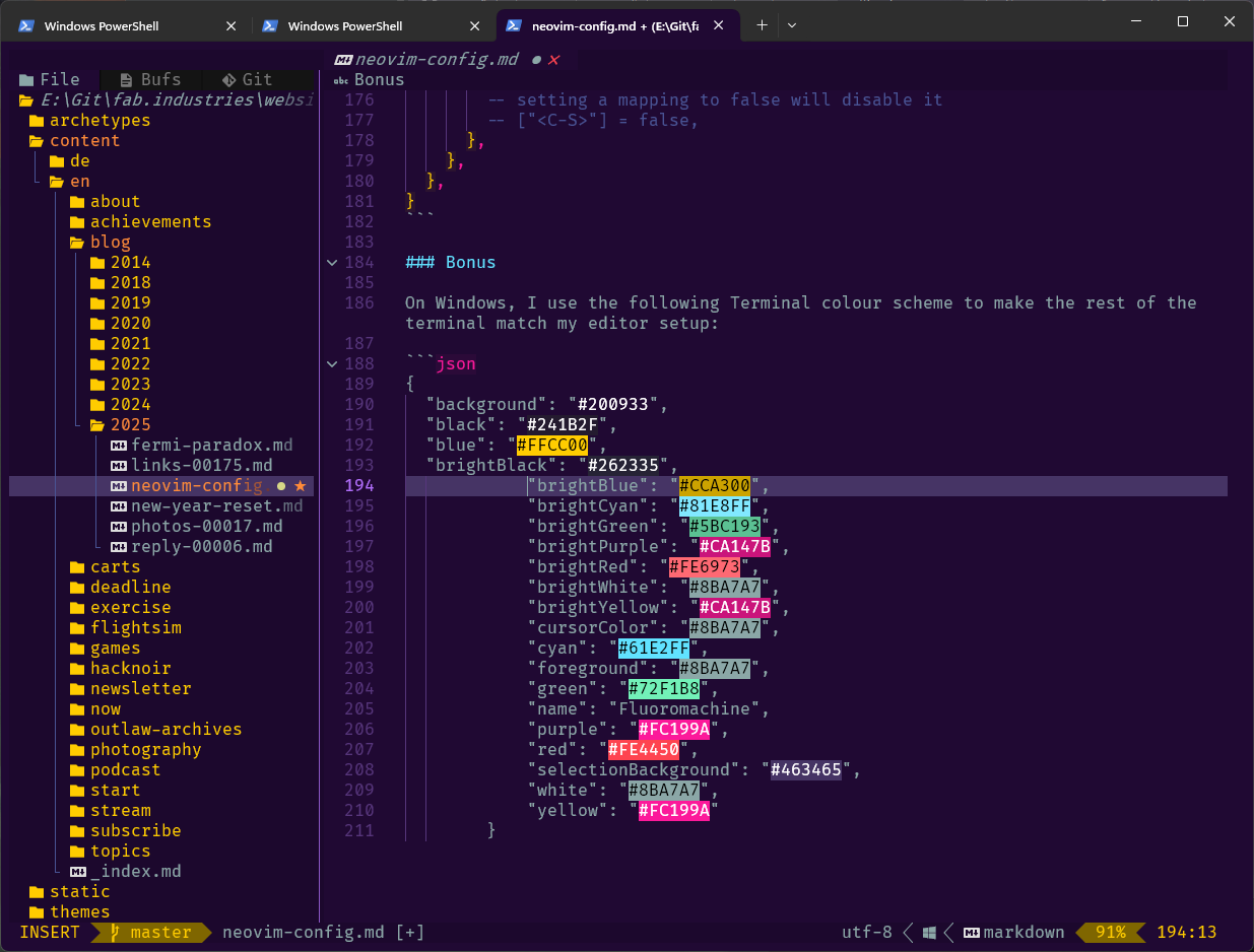 /img/2025/nvim-config.png