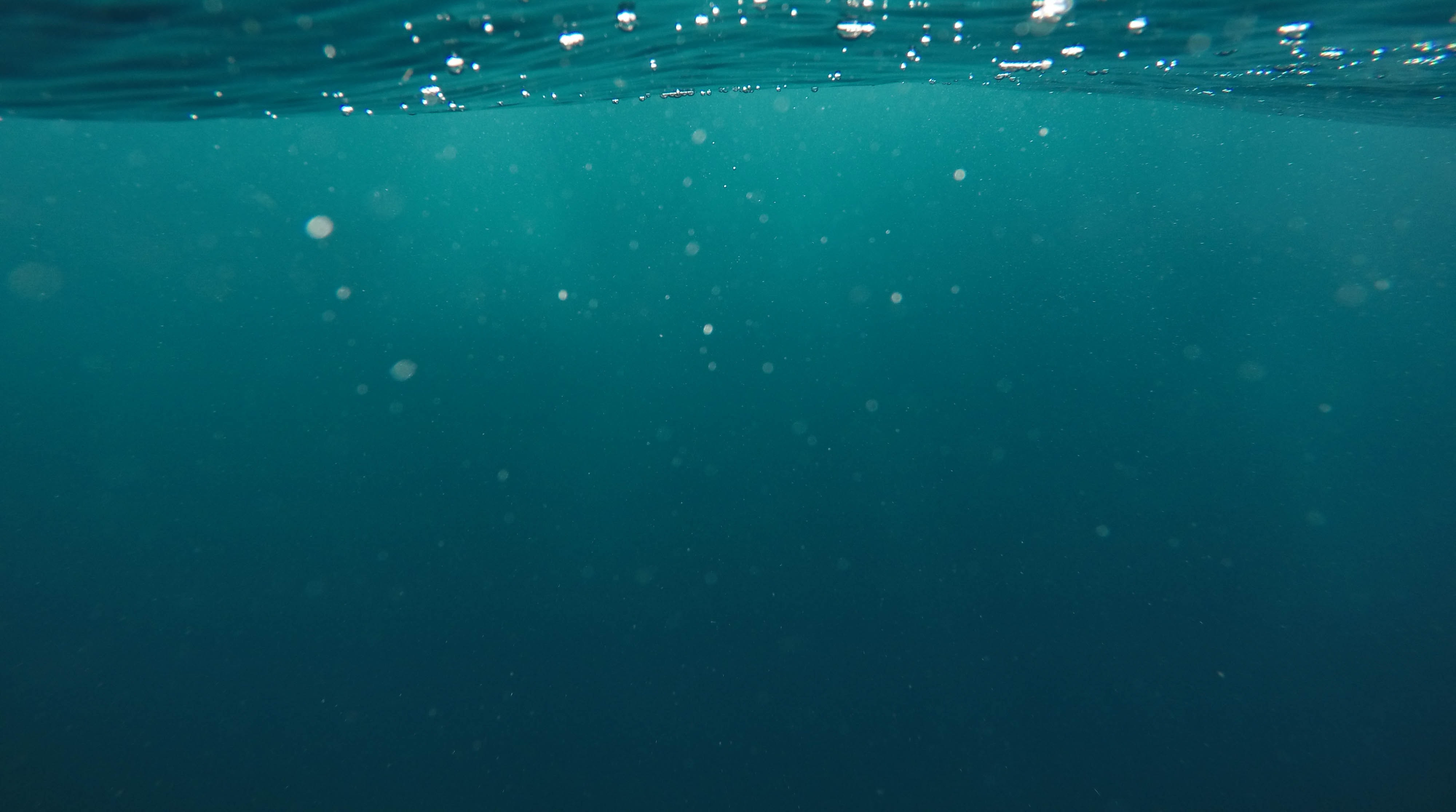/img/unsplash/1brazysleka.jpg /img/unsplash/1brazysleka.jpg