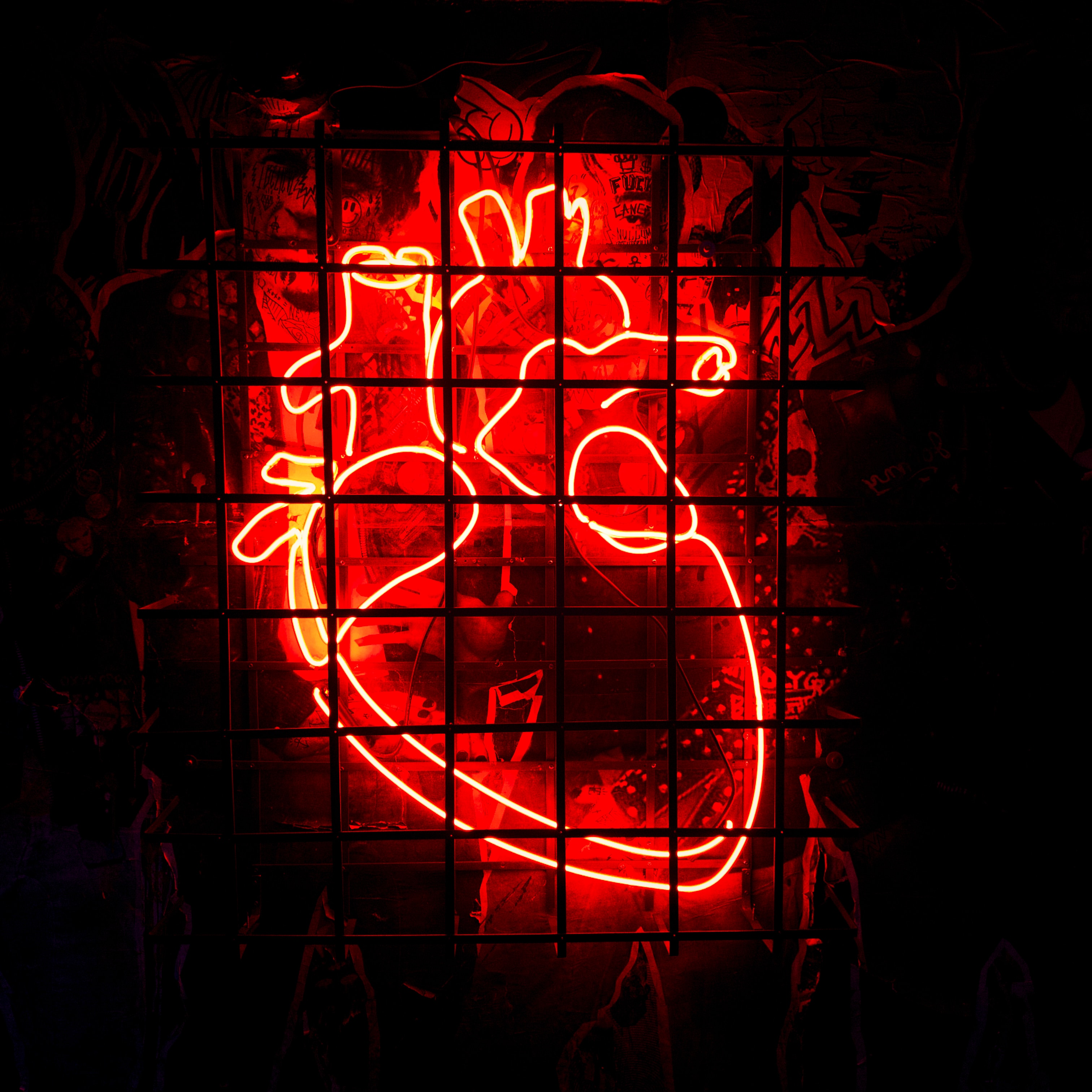 /img/unsplash/1brqihgtpk0.jpg /img/unsplash/1brqihgtpk0.jpg
