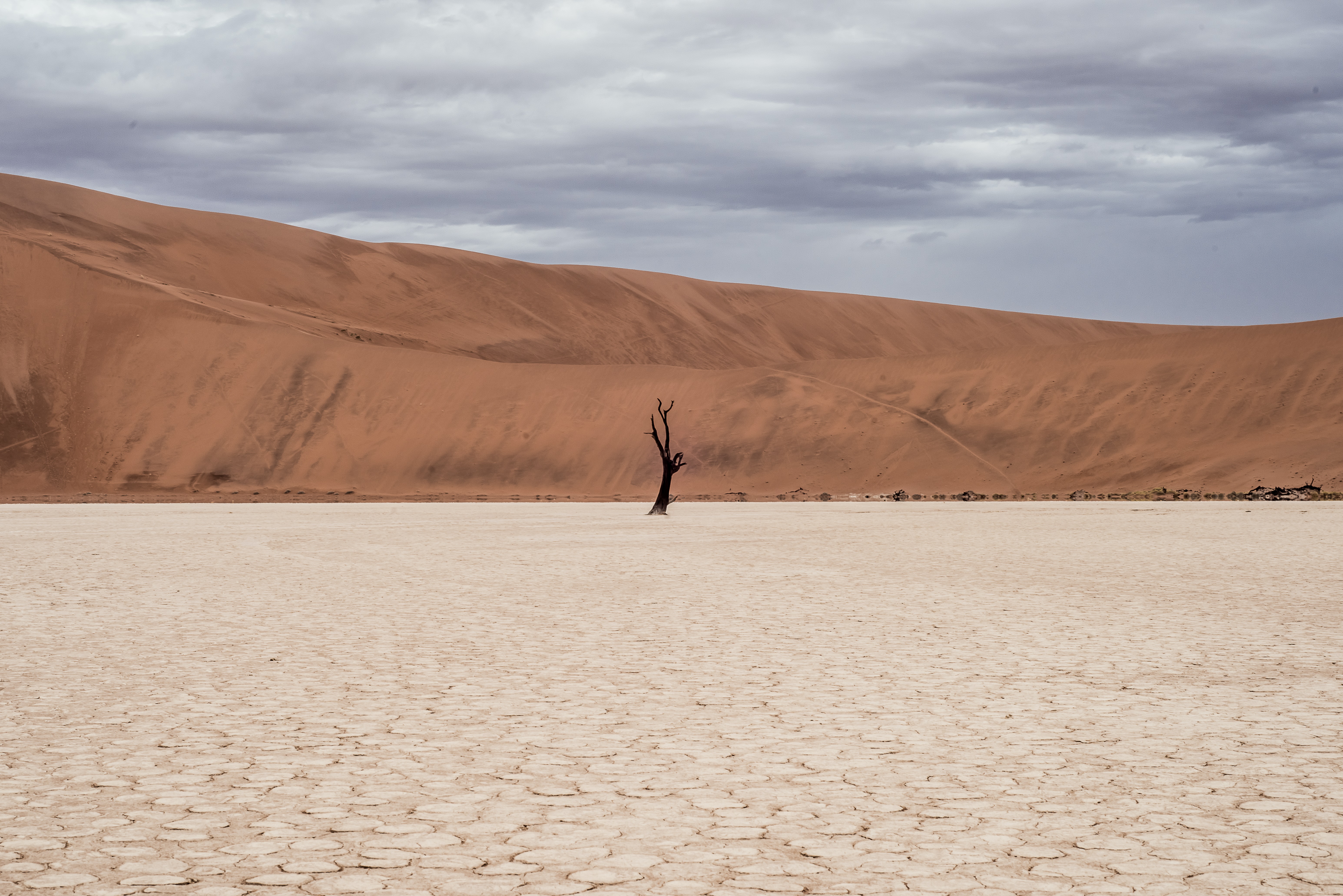/img/unsplash/jtj9-4eszu4.jpg /img/unsplash/jtj9-4eszu4.jpg