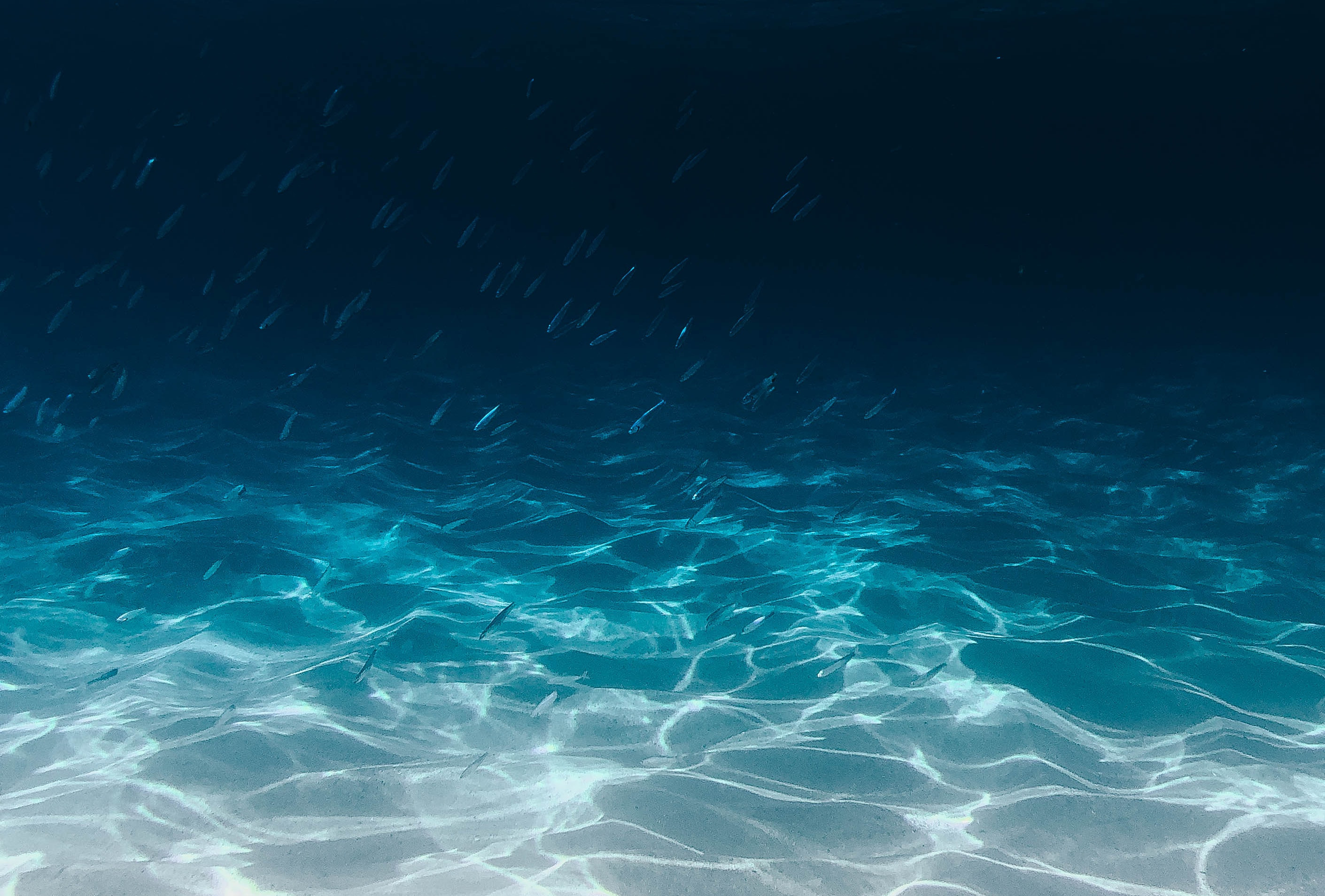 /img/unsplash/k785da4a-ja.jpg /img/unsplash/k785da4a-ja.jpg
